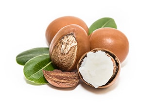 Butyrospermum Parkii (Shea) Butter