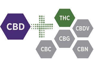 Full Spectrum Hemp Extract