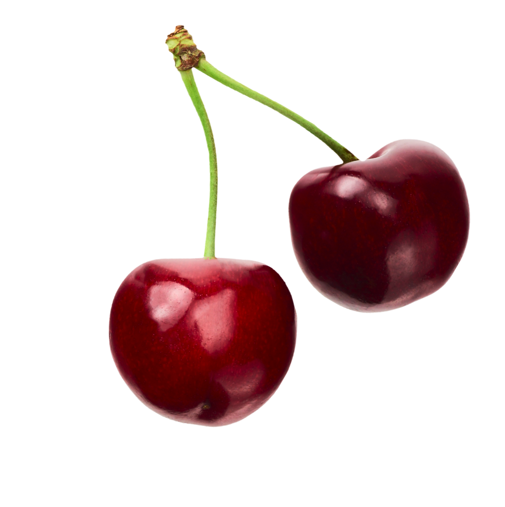 Medterra