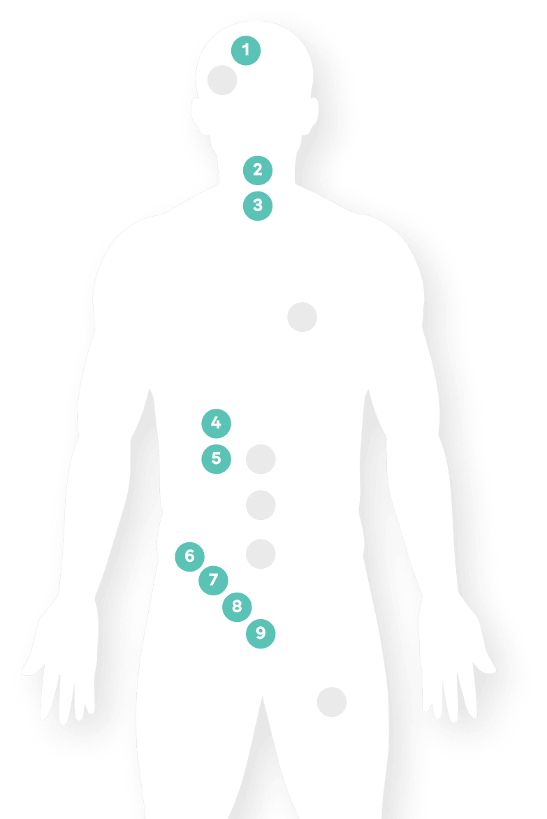 main-receptors-wrapper-right