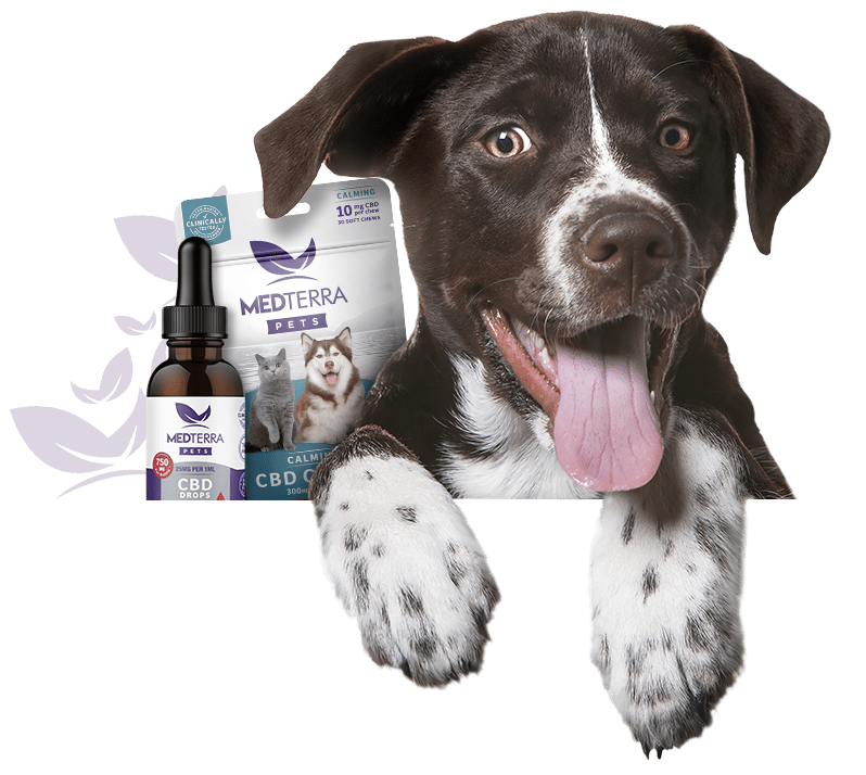 Pet Dosage Calculator