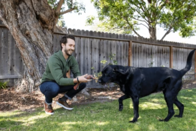 4 Of The Best Ways To Give Your Dog CBD